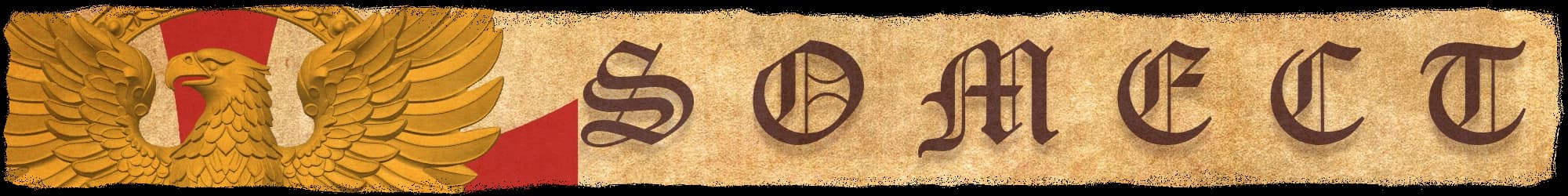 MEMBRETE SOMECT INTERNACIONAL